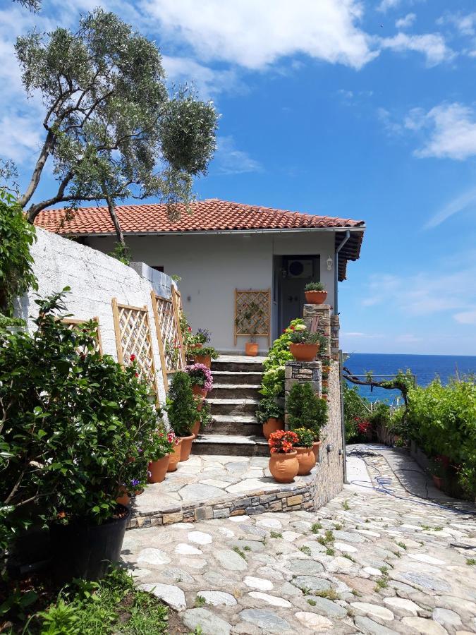 Ammos Papanero Leilighet Agios Ioannis  Eksteriør bilde